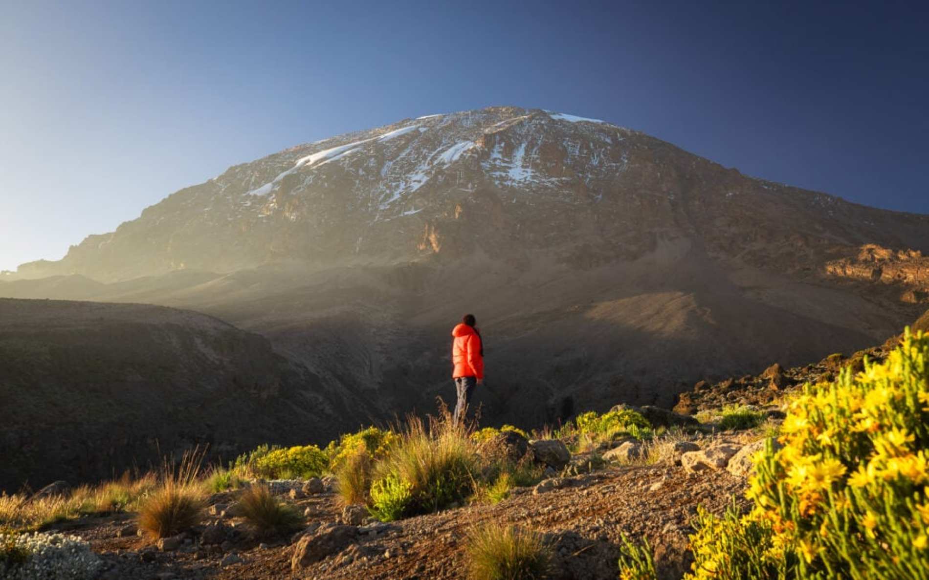 View from Shira Plateau on Kilimanjaro